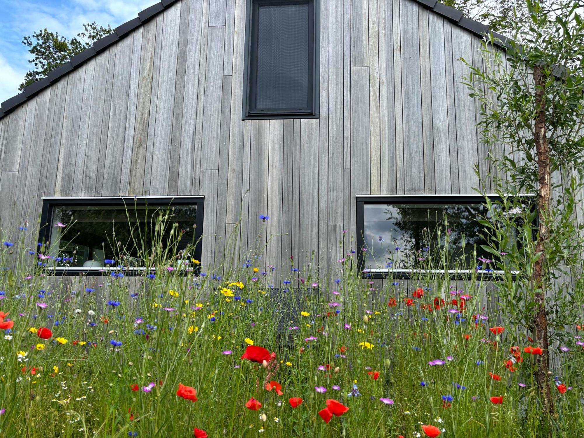 Bij De Kei Appelscha Villa ภายนอก รูปภาพ